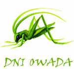 00_dni_owada