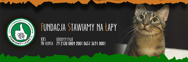 stawiamy_na_lapy_baner