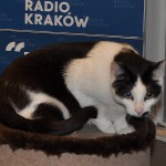 Klinika Zdrowego Chomika Radio Kraków 6250