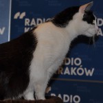 Klinika Zdrowego Chomika Radio Kraków 6251