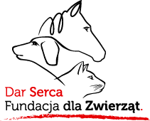 dar_serca_fundacja_logo