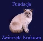 00_zwierzeta_krakowa