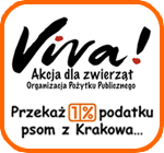 00_pr_viva