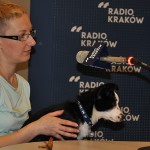Radio Kraków Klinika Zdrowego Chomika 9927