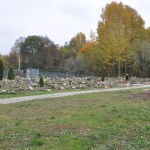 Cmentarz w Bytomiu 0849