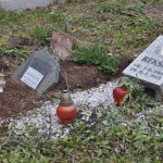 Cmentarz w Bytomiu 0850