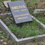 Cmentarz w Bytomiu 0851