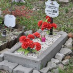 Cmentarz w Bytomiu 0855