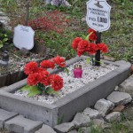Cmentarz w Bytomiu 0865