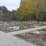 Cmentarz w Bytomiu 0880