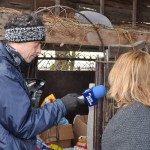 Radio Krakow - Klinika Zdrowego Chomika 1320