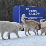 Radio Krakow Klinika Zdrowego Chomika 1392