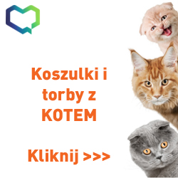 kot_przytul_zwierzaka_ze_schroniska